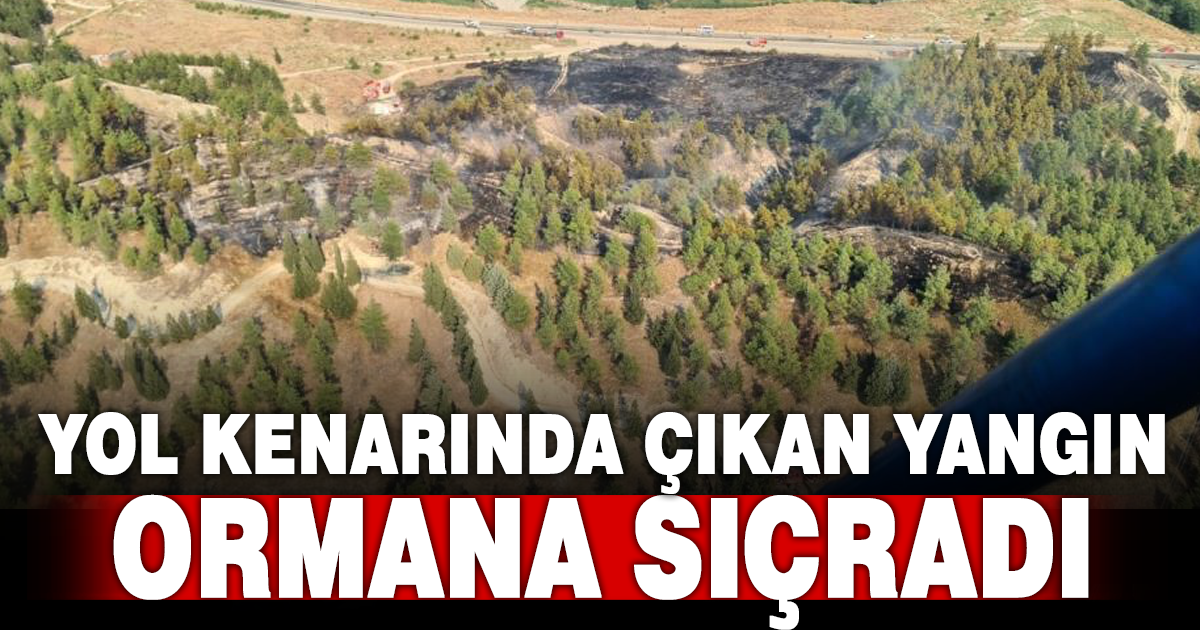 Yol kenarında başlayıp ormana sıçrayan yangın hızlı ve etkin müdahaleyle büyümeden söndürüldü