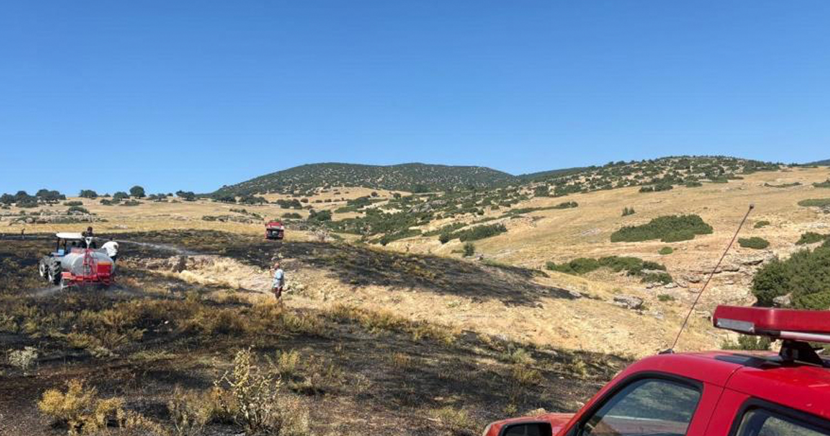 Anız yangını ormanlık alana sıçramadan söndürüldü 