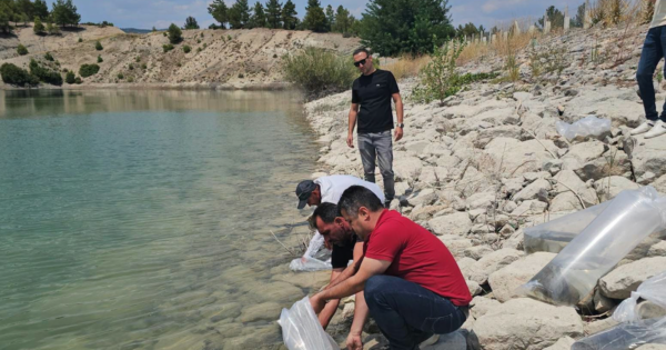 Denizli’de göl ve göletler yavru sazanlarla buluşturuldu