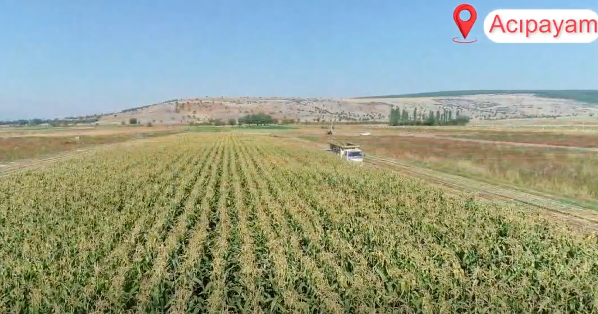 Acıpayamlı üreticilere 452 milyon liralık destek
