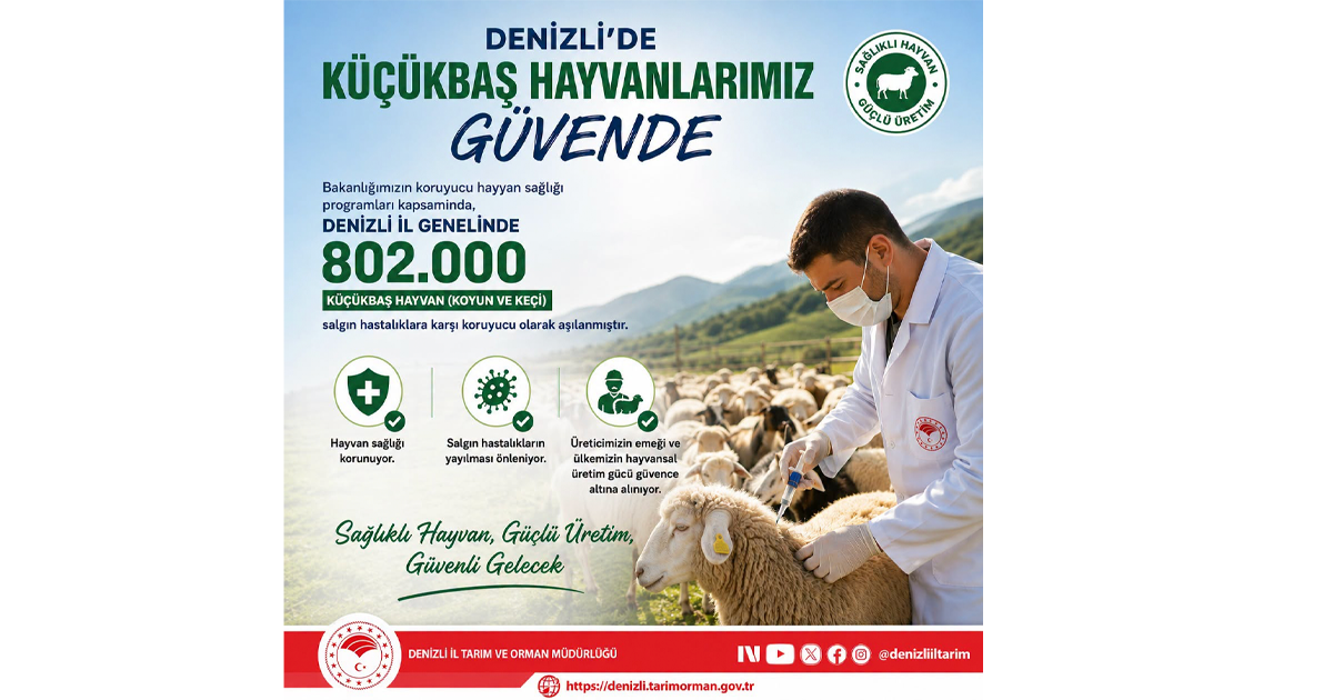 Denizli’de 802 bin küçükbaş hayvan salgın hastalıklara karşı aşılandı