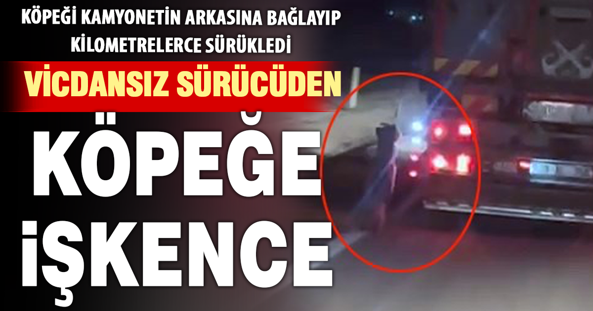  Köpeği kamyonetin arkasına bağlayıp sürükledi