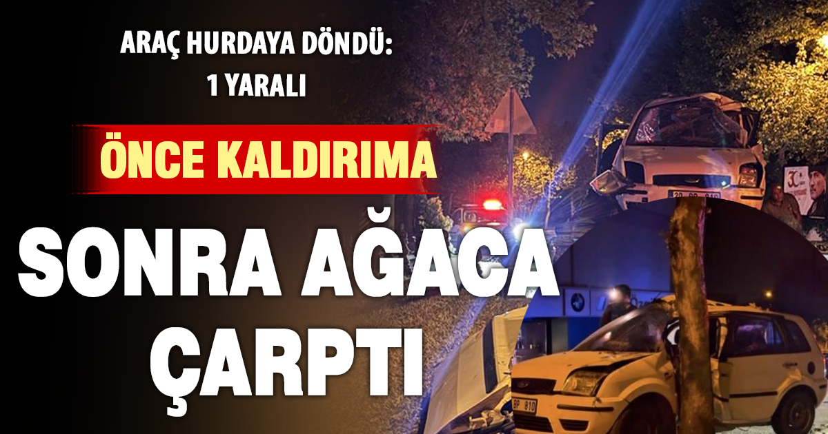 Kontrolden çıkan otomobil ağaca çarparak durabildi: 1 yaralı 