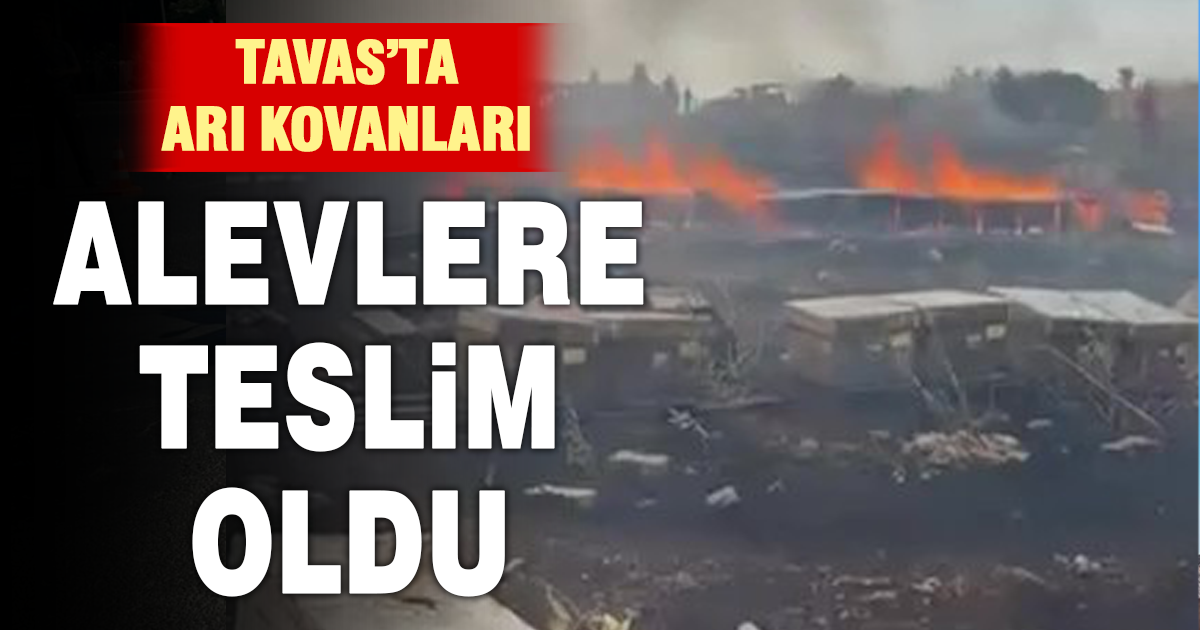 Denizli’de yangında arılar telef oldu 