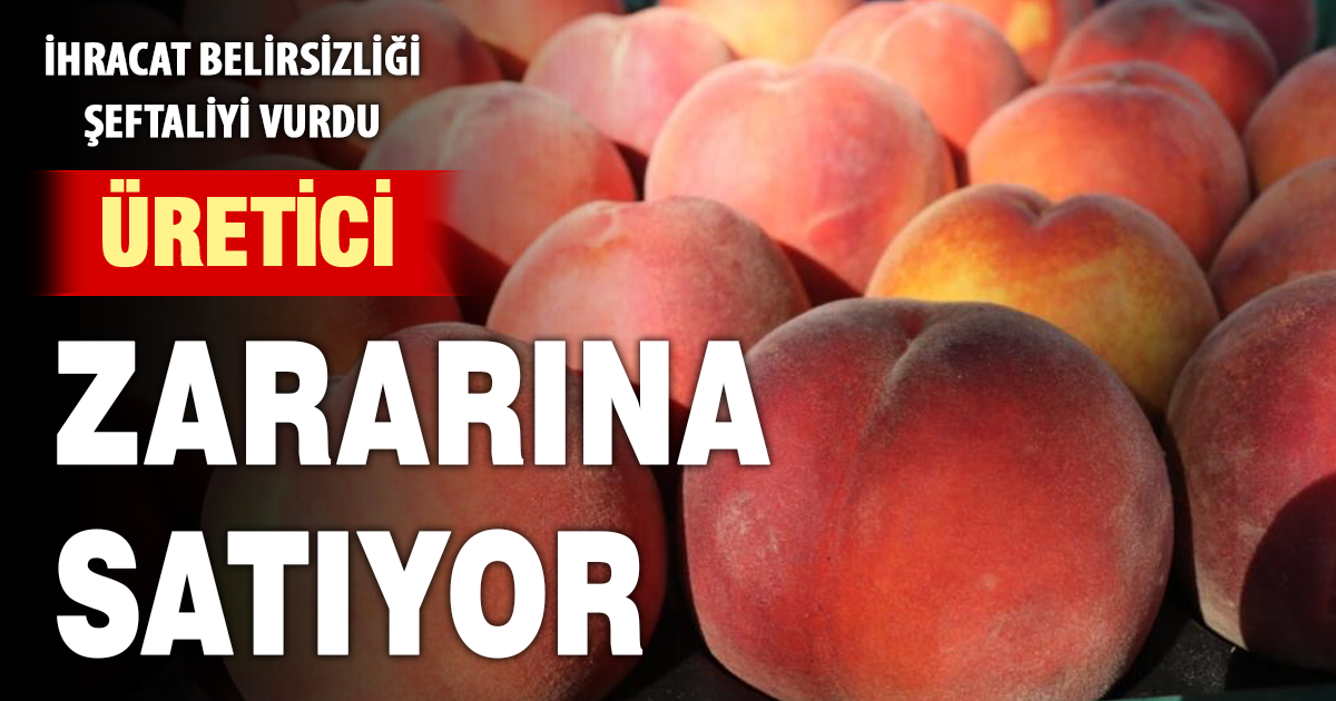İhracattaki belirsizlik Çivril şeftalisinin fiyatlarını alt üst etti 
