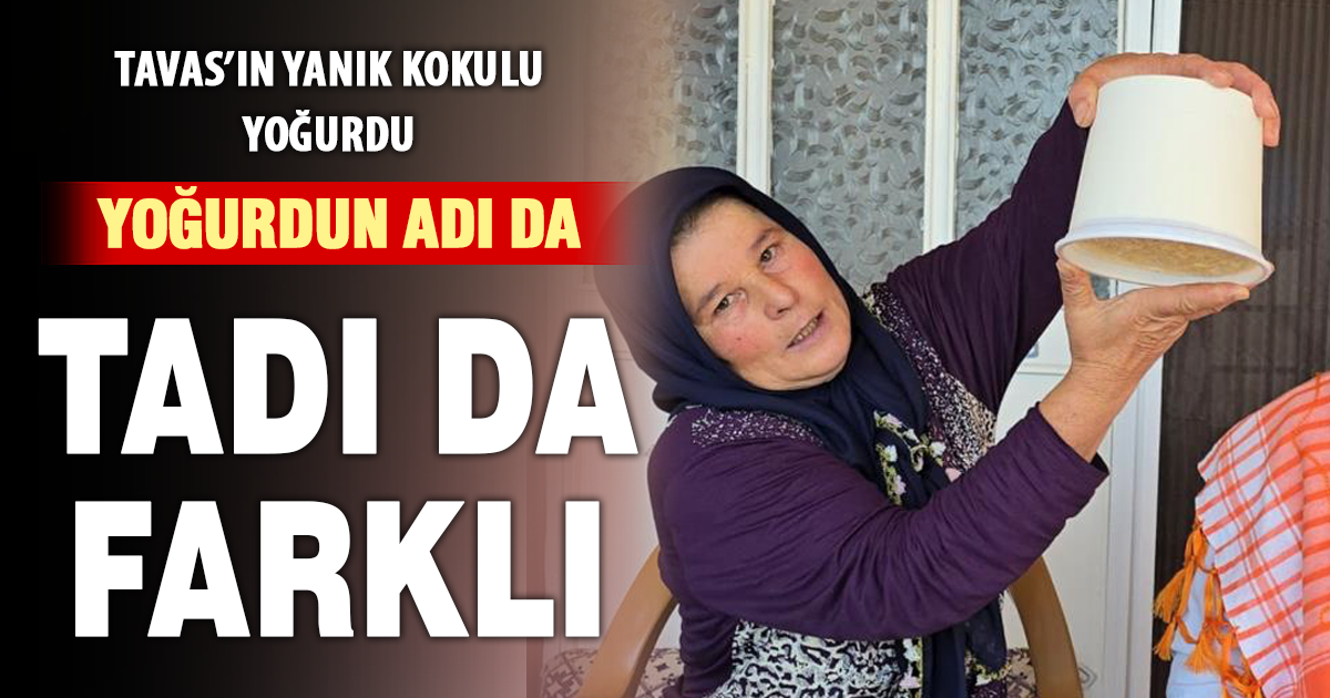 Yanık kokusu ve sert kıvamıyla Tavas yoğurdu damaklarda iz bırakıyor 