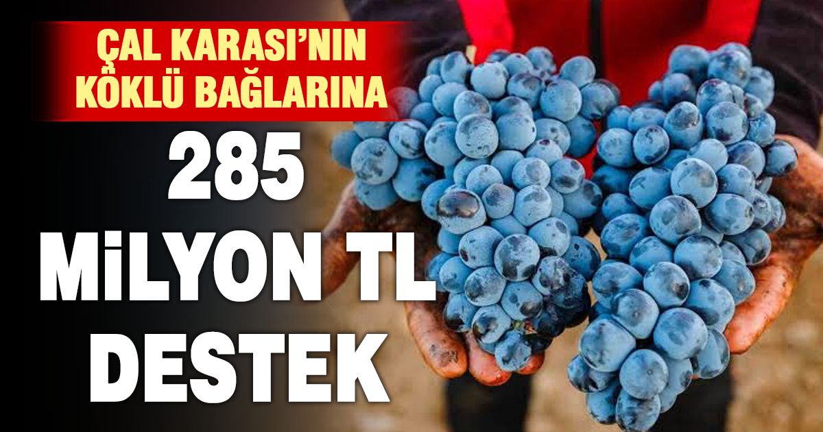 Çal’da Üreticiye 285 Milyon TL Destek