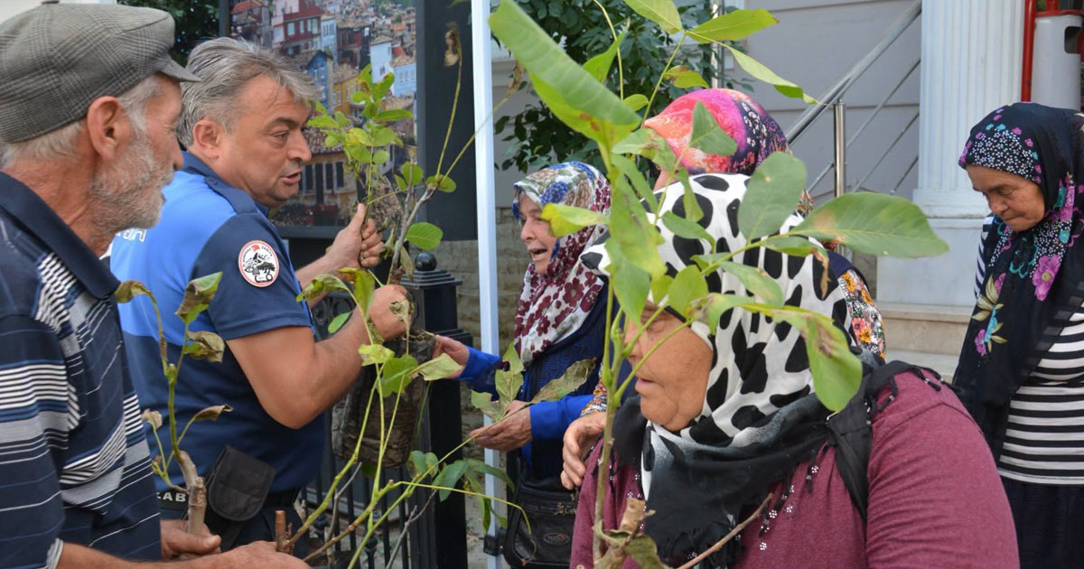 Babadağ’da üreticiye ceviz fidanı desteği