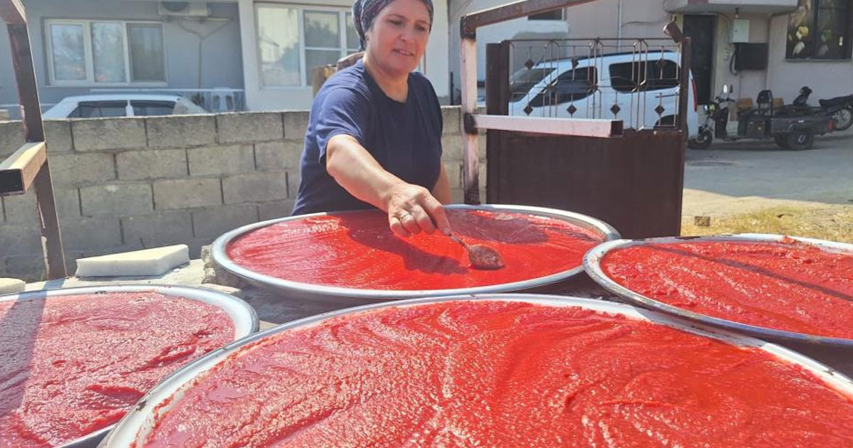 Kışlık salça hazırlıkları başladı