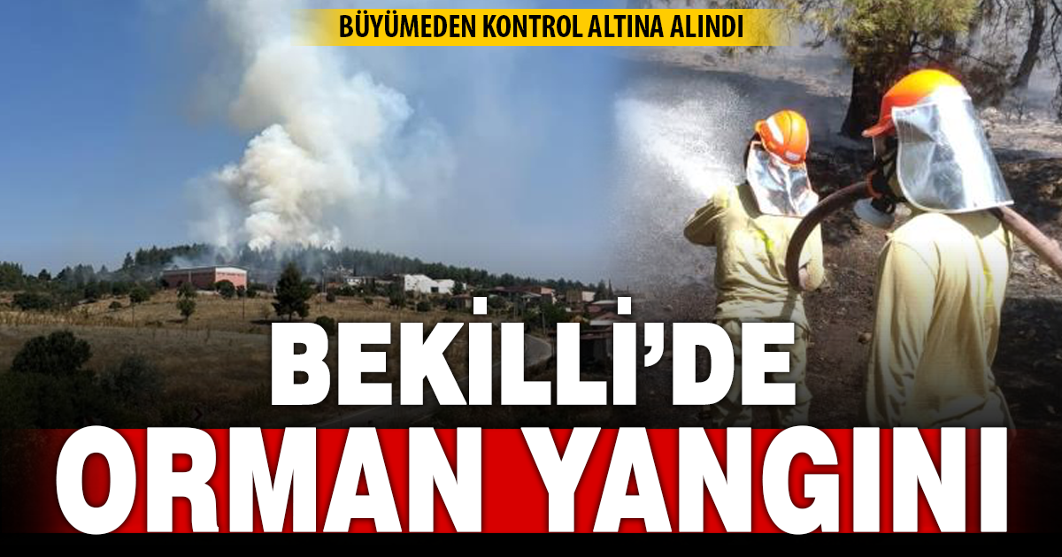 Denizli’de orman yangını hızlı müdahaleyle kontrol altına alındı 