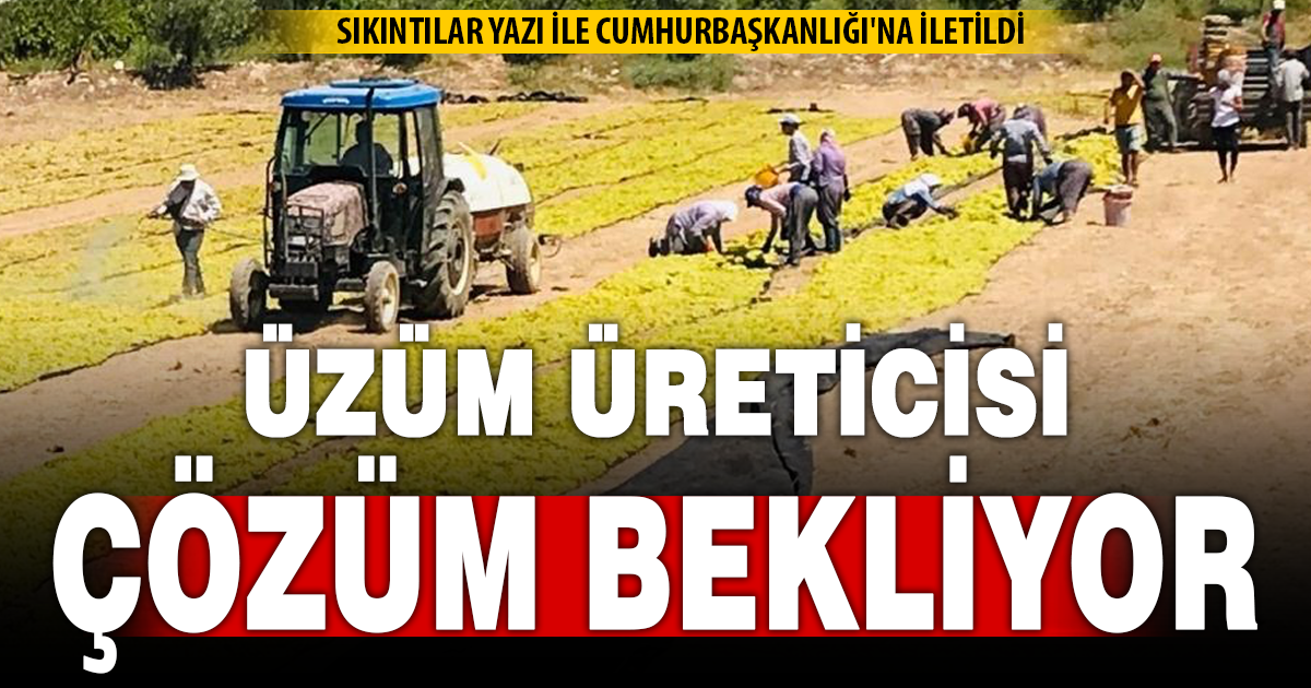Üzüm üreticilerinin sorunları yazı ile Cumhurbaşkanlığı'na aktarıldı 