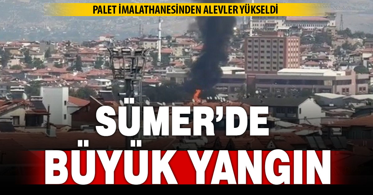 Ahşap palet imalathanesinde yangın