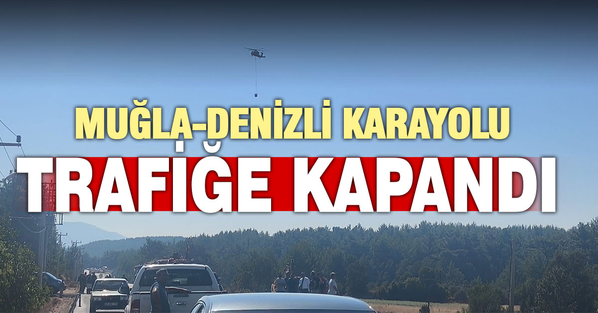Muğla-Denizli karayolu orman yangını nedeniyle trafiğe kapatıldı