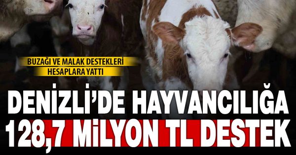 Denizlili hayvan yetiştiricilerine 128,7 milyon TL destek ödendi