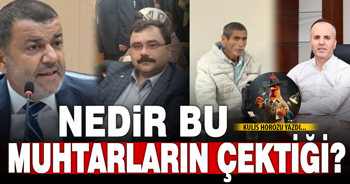 NEDİR BU MUHTARLARIN ÇEKTİĞİ?