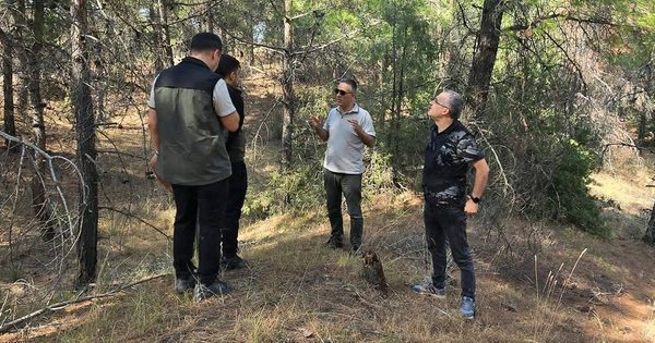Çal’daki ormancılık çalışmaları mercek altında