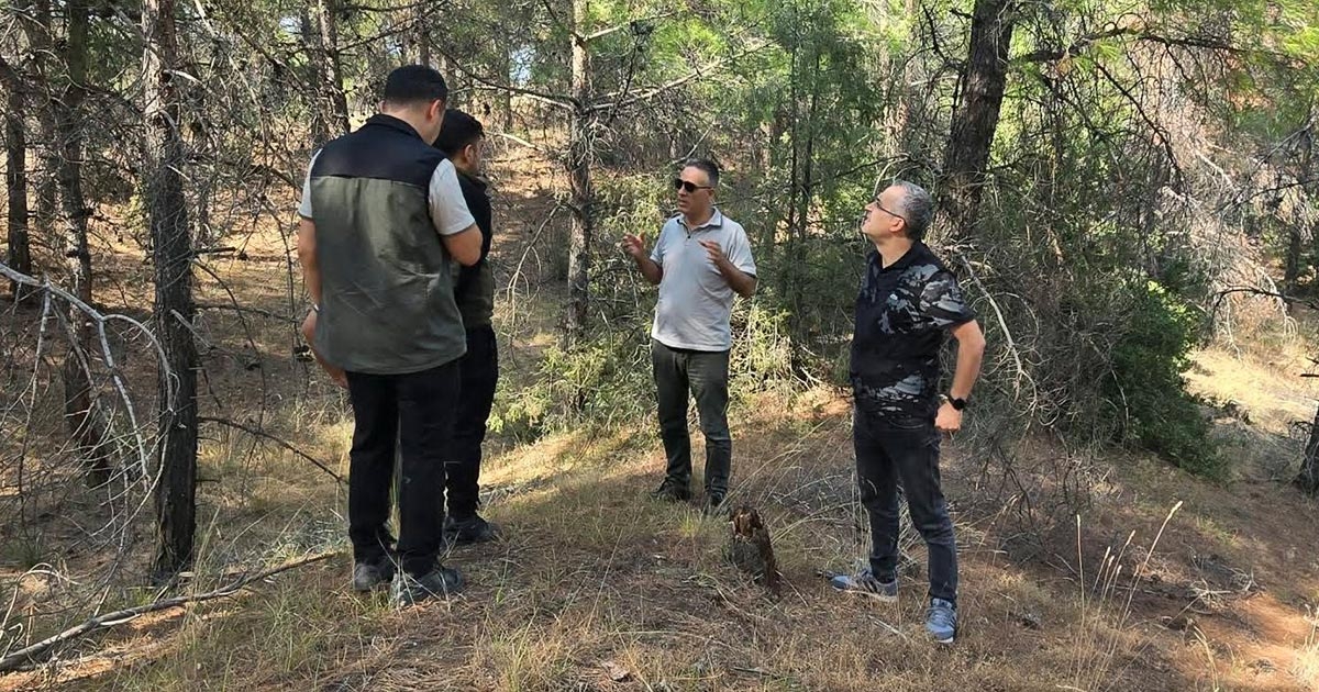 Çal’daki ormancılık çalışmaları mercek altında