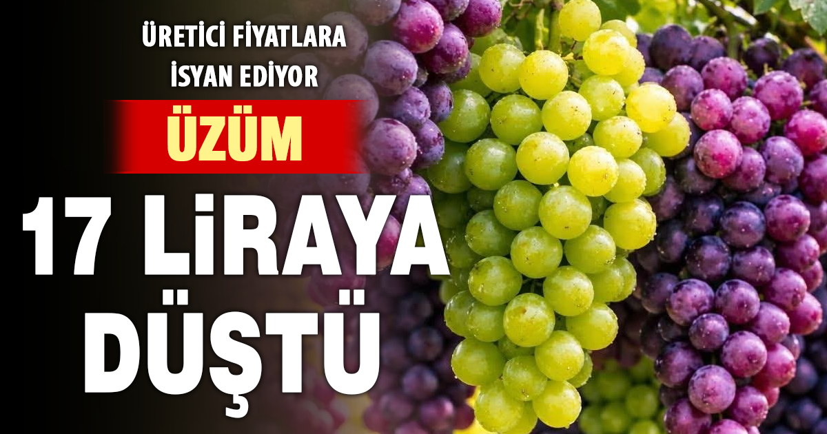 Güneyli üzüm üreticilerinden alıcılara fiyat tepkisi