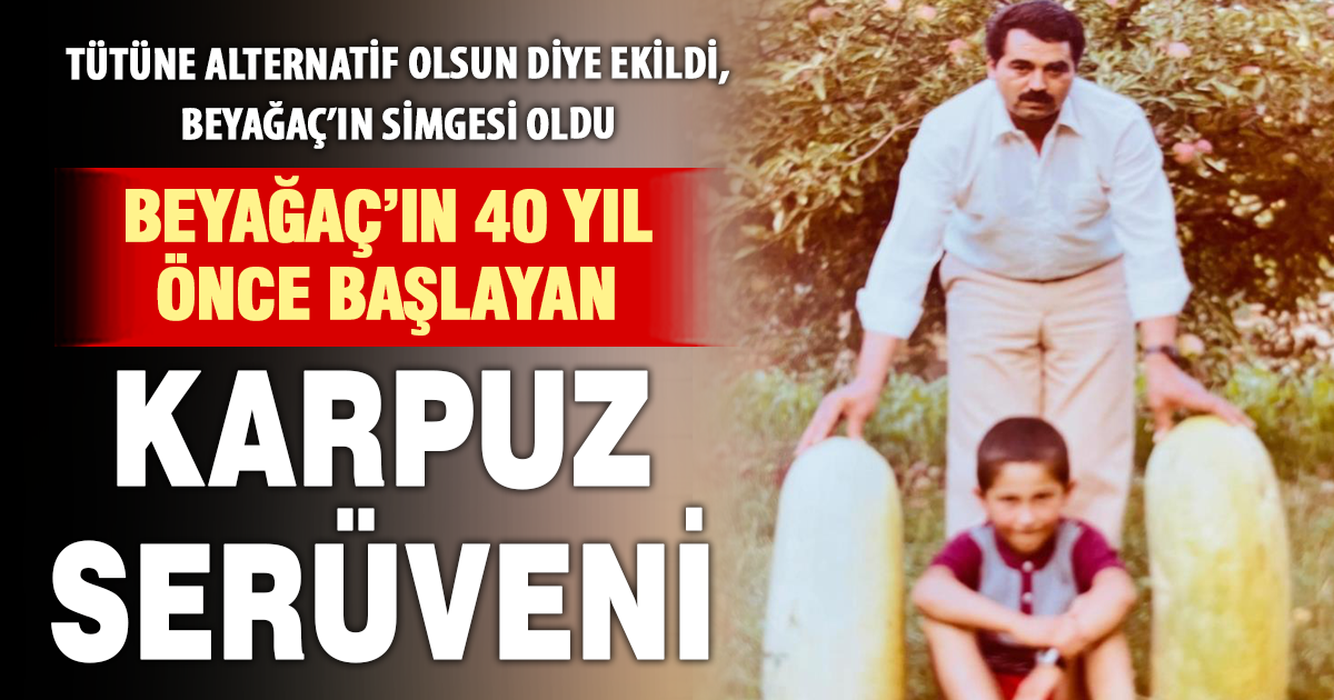 Beyağaç karpuzunun hikayesi 10 dekarlık tarlada başladı 