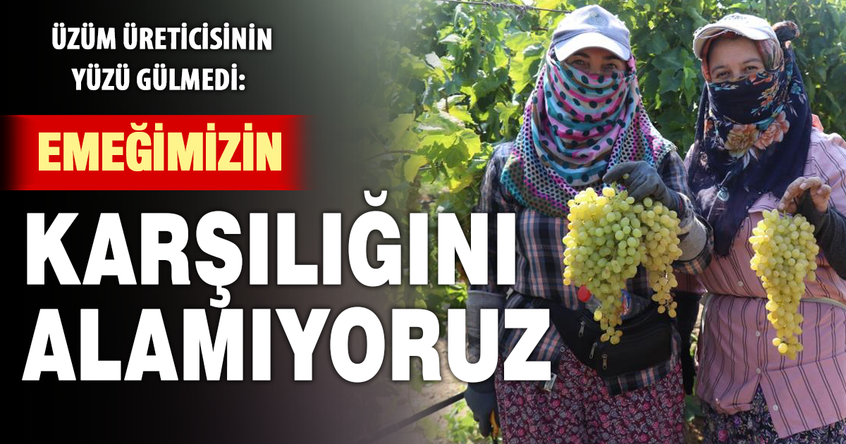 Tüccarın açıkladığı düşük fiyata tepki gösteren üzümcülerden TMO'ya alım çağrısı