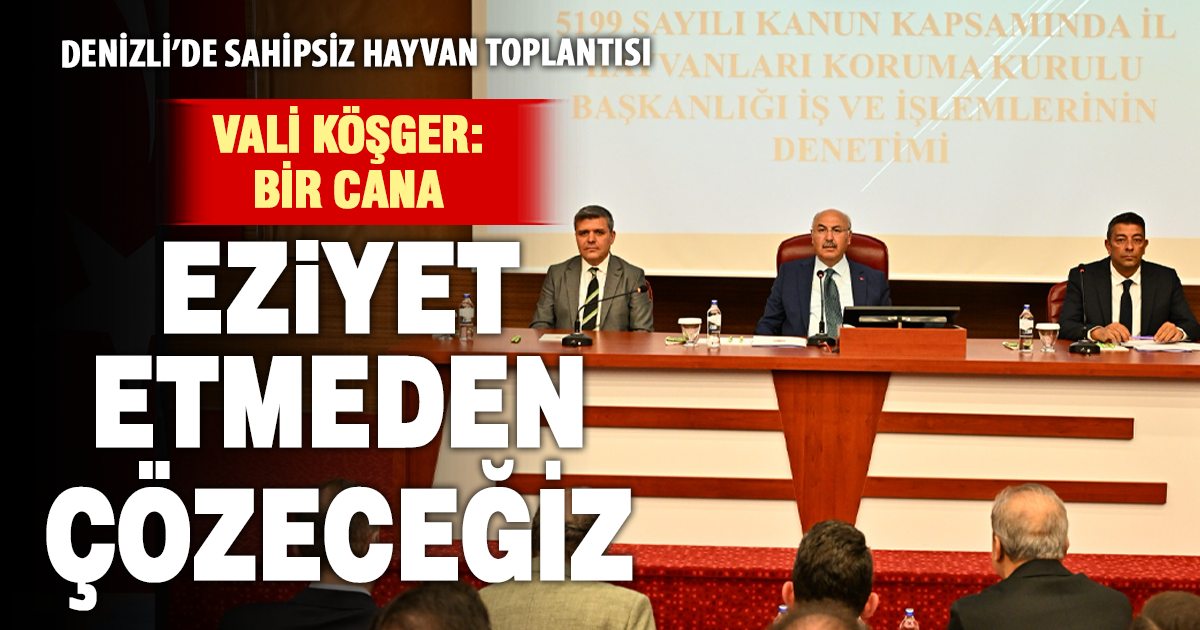 Denizli’de sahipsiz hayvan toplantısı