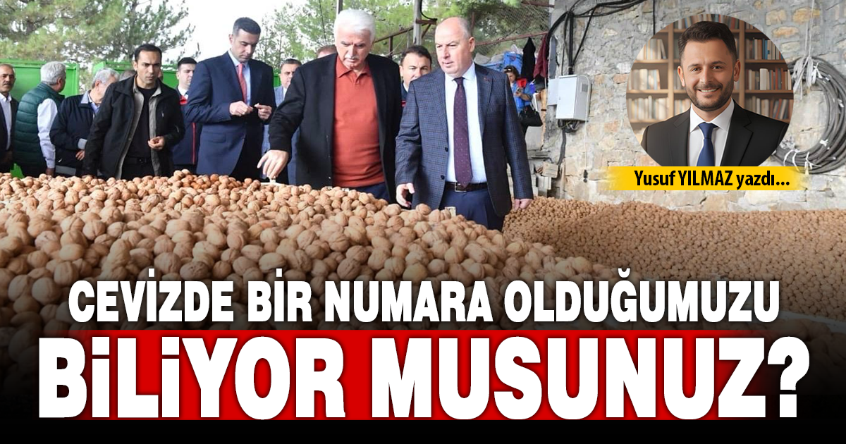 CEVİZDE BİR NUMARA OLDUĞUMUZU BİLİYOR MUSUNUZ?
