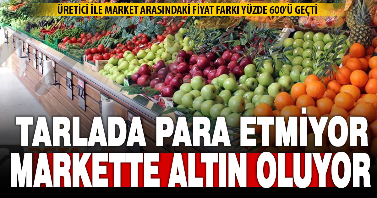 Üretici ile market arasındaki fiyat farkı yüzde 600’ü geçti