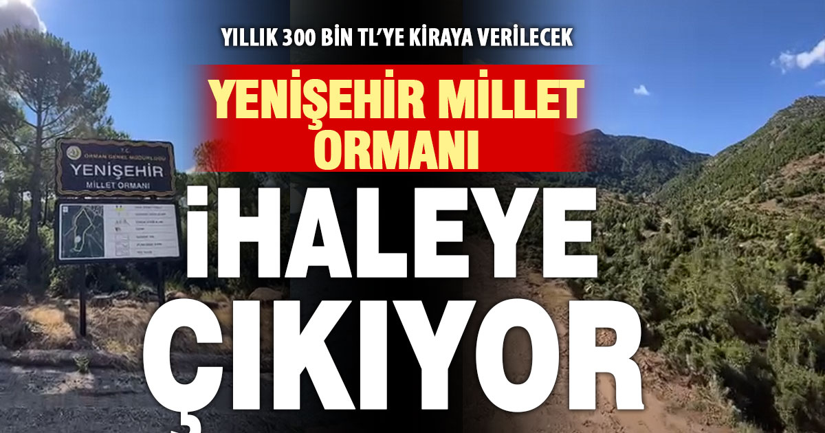 Yenişehir Millet Ormanı ihaleye çıkıyor