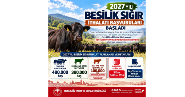 2027 yılı besilik sığır ithalatı başvuruları başladı