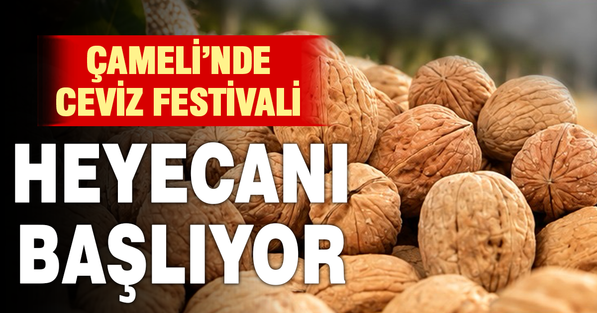 Çameli’nde ceviz hasadı için şenlik düzenlenecek
