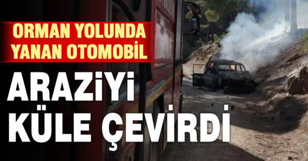 Orman yolunda alev alan otomobil yangına neden oldu