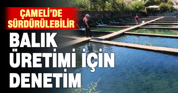 Çameli’nde alabalık işletmelerine yerinde denetim