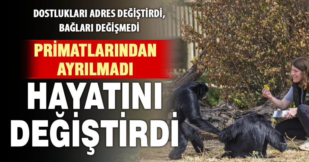 Can dostları primatlar için hayatını değiştirdi, İzmir’e yerleşti 