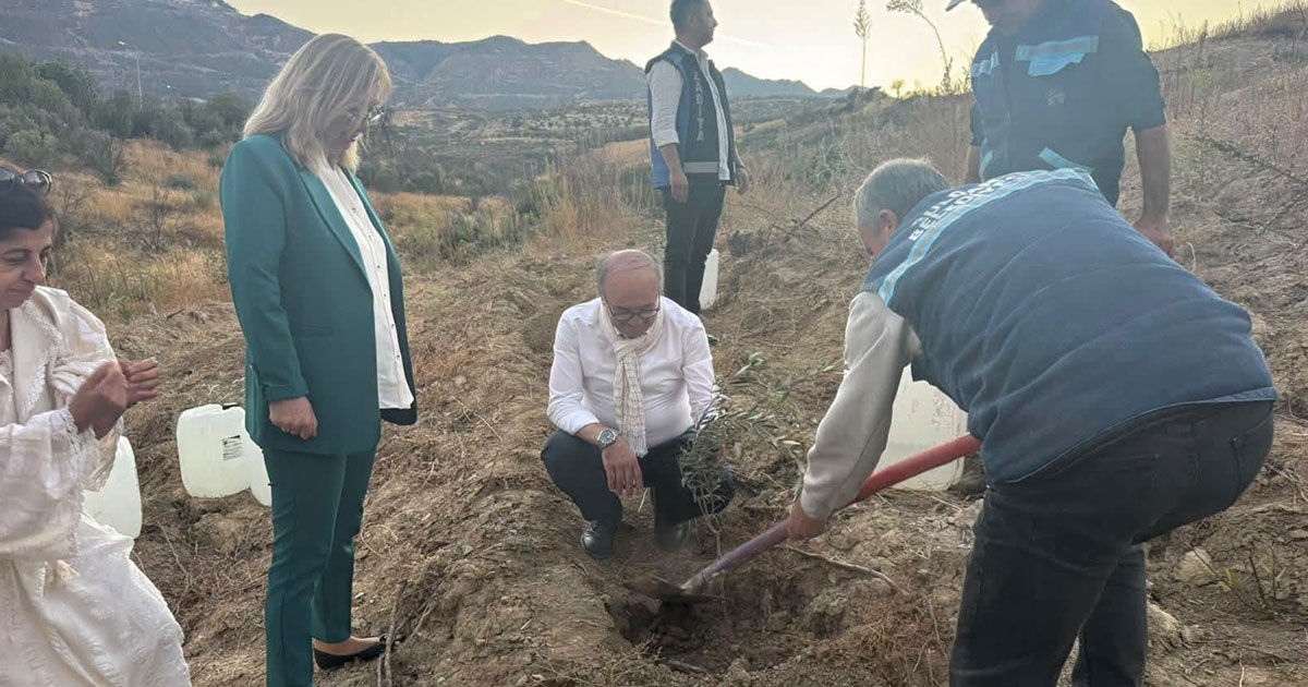 Festival fidanları toprakla buluştu