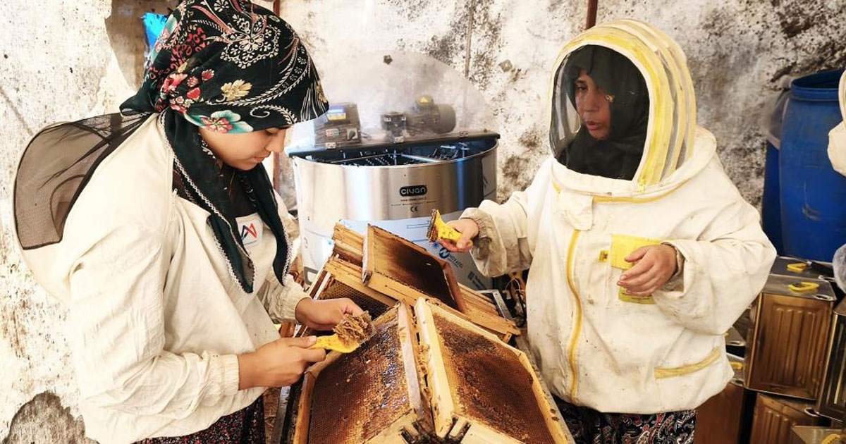 Çam balının başkenti Muğla'da glikozlu bal tepkisi