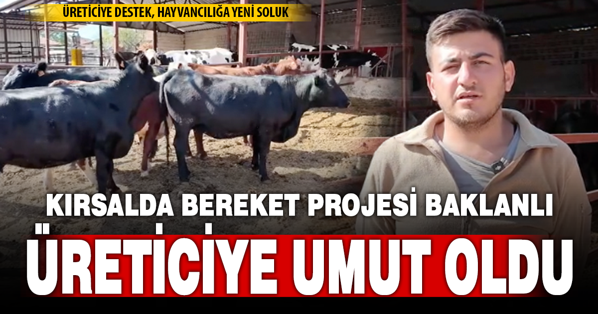 Baklanlı üretici destekle büyüdü: Et ırkı yetiştiriciliğine başladı
