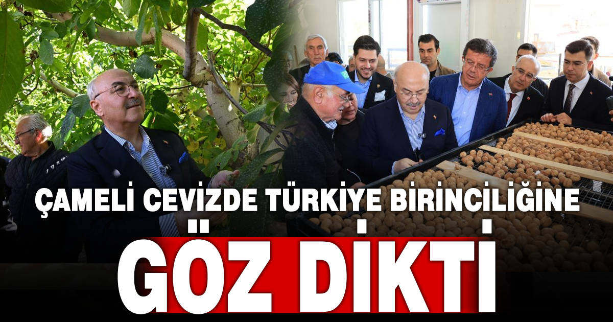 Çameli ceviz üretiminde Türkiye birinciliğini hedefliyor